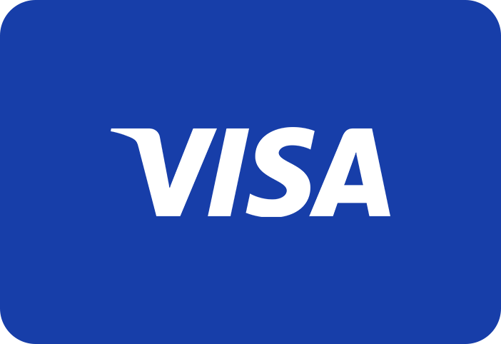 Get Your US Virtual Visa Gift Card